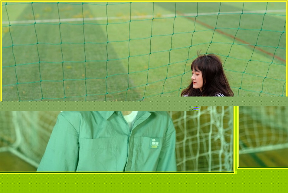 방충망 설치 고민 끝! 프로젝트 방충망 종류별 장단점 파헤치기