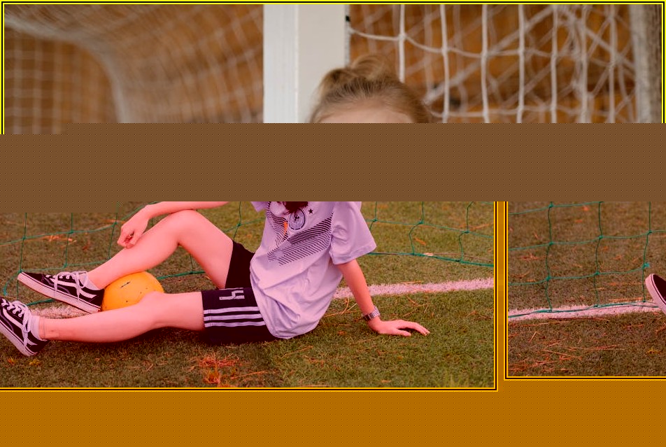 똑똑한 선택, 프로젝트 방충망 종류별 기능과 설치 꿀팁