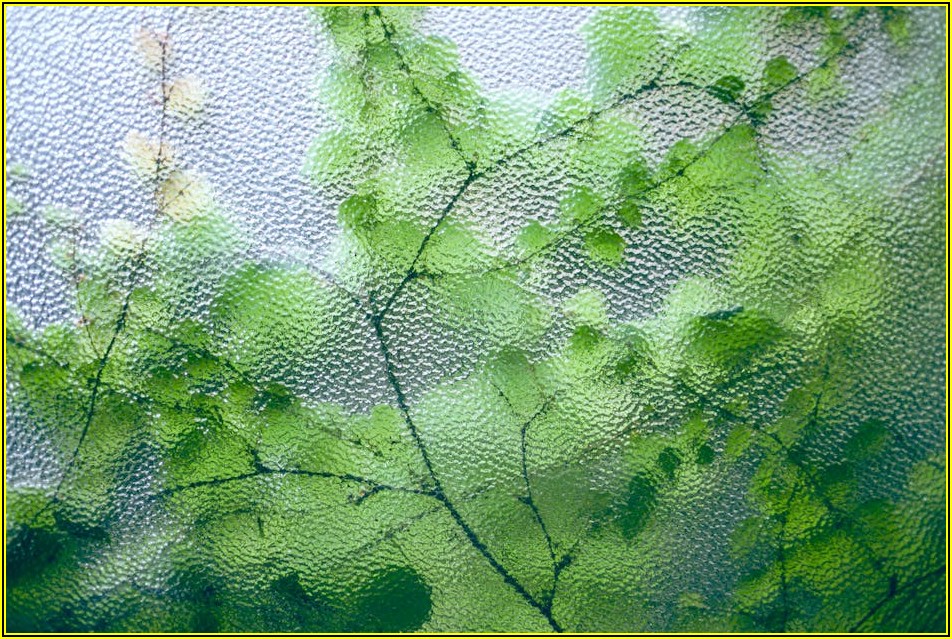 강화유리 깨졌을 때 안전하게 대처하는 방법