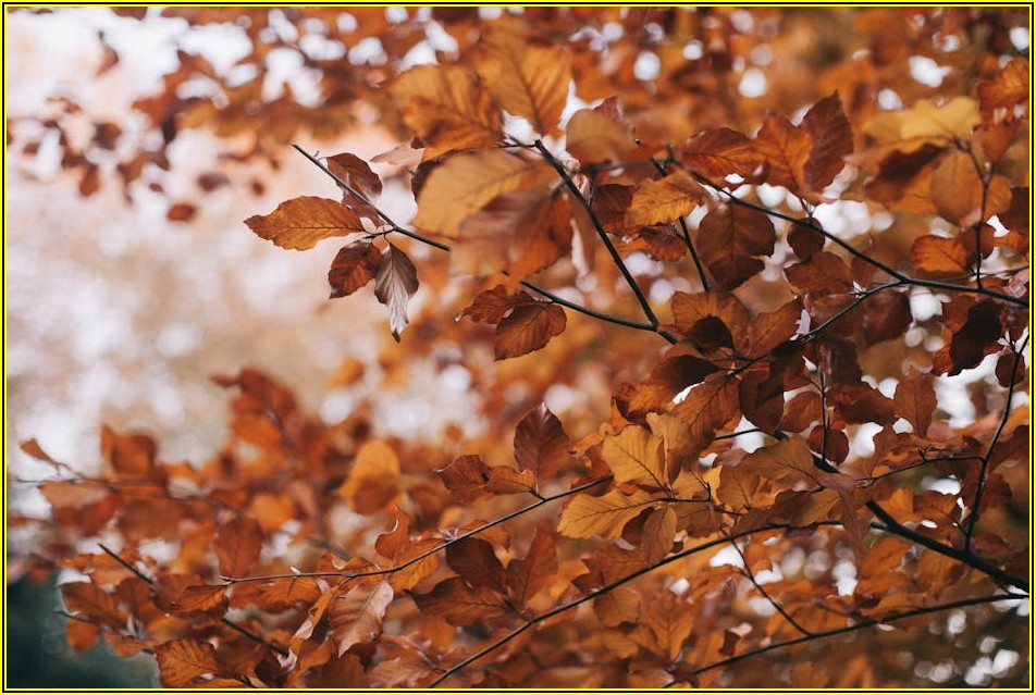 나만의 개성 담은 금책갈피, 독서의 품격을 높이다