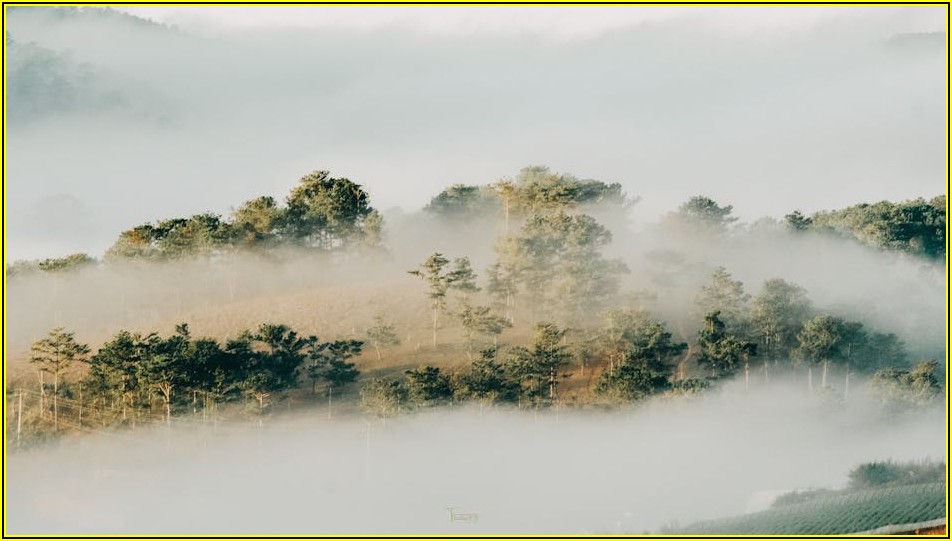 답답한 문제, 이제 그만! 나동선의 문제 해결 비법