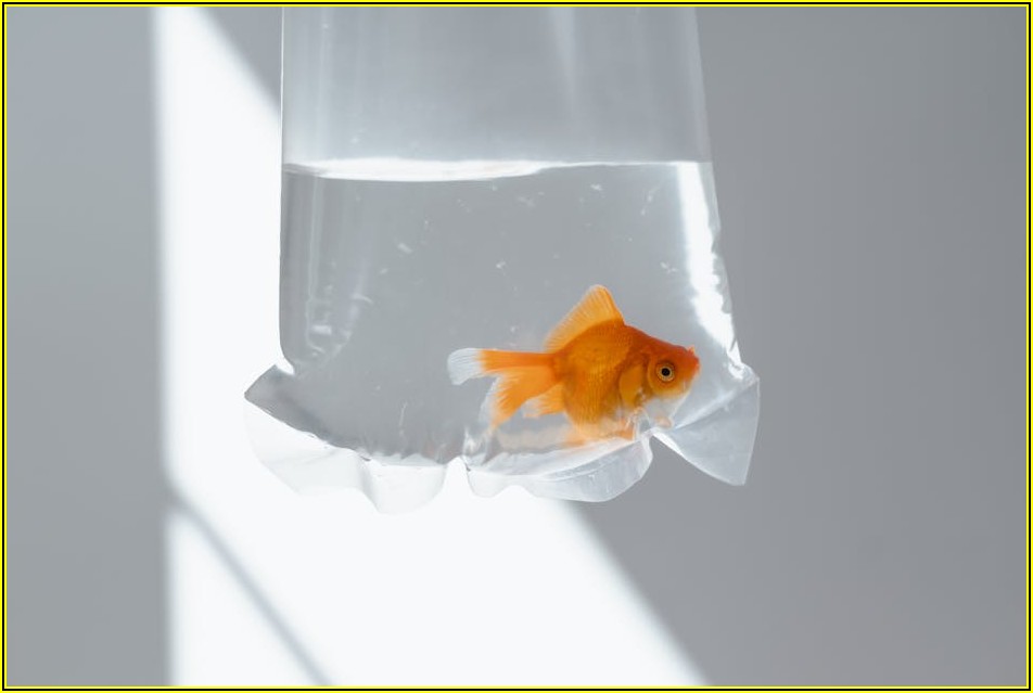 최고의 Ebook 경험을 위한 장르별 추천 도서 모음