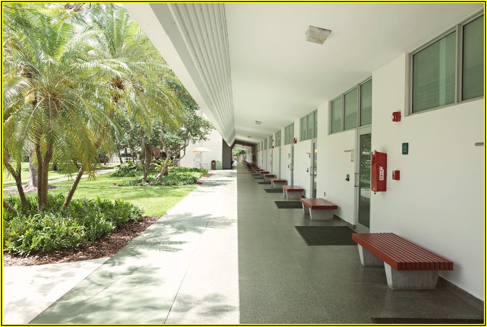 꿈꿔왔던 미국 대학, 지원 자격과 입학 절차 완벽 정복