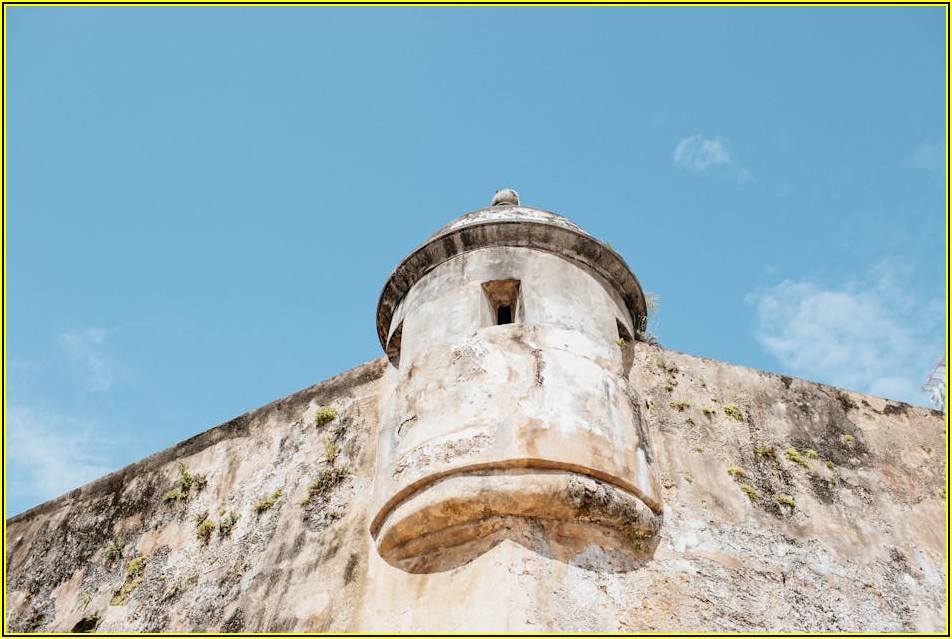 내 스톤 아일랜드, 정품 패치 맞을까? 완벽 구별 가이드