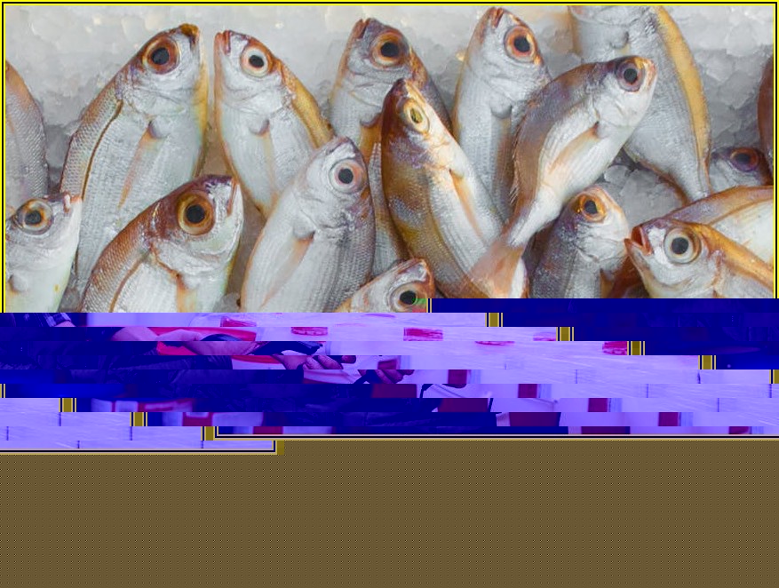 금호타이어 주가 분석: 성공 투자를 위한 핵심 정보