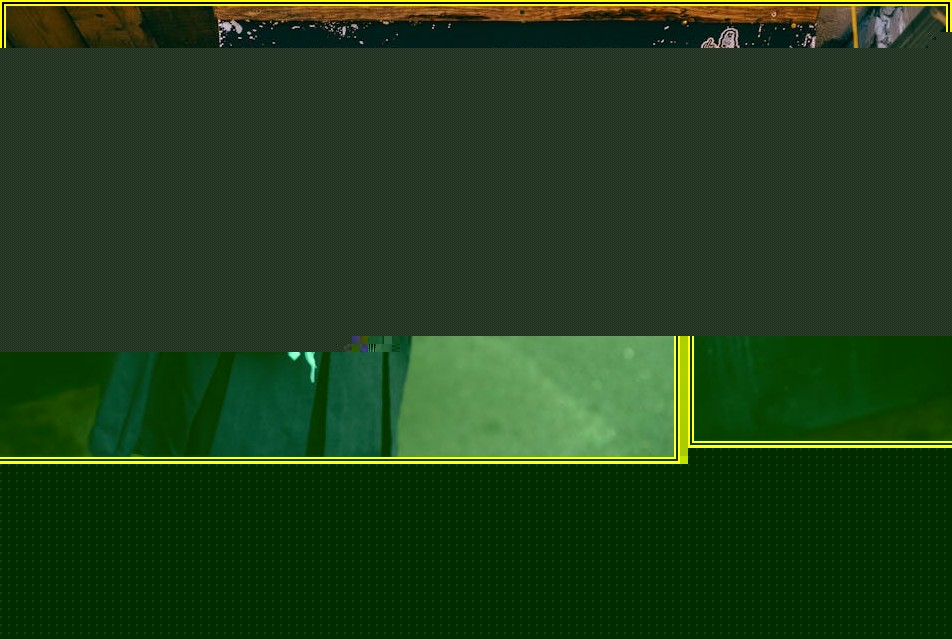 25인승 버스로 즐기는 특별한 여행과 행사