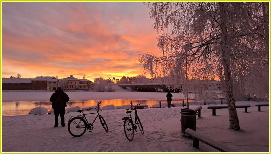 77인치 OLED TV 구매 가이드: 가격 비교와 가성비 끝판왕은?