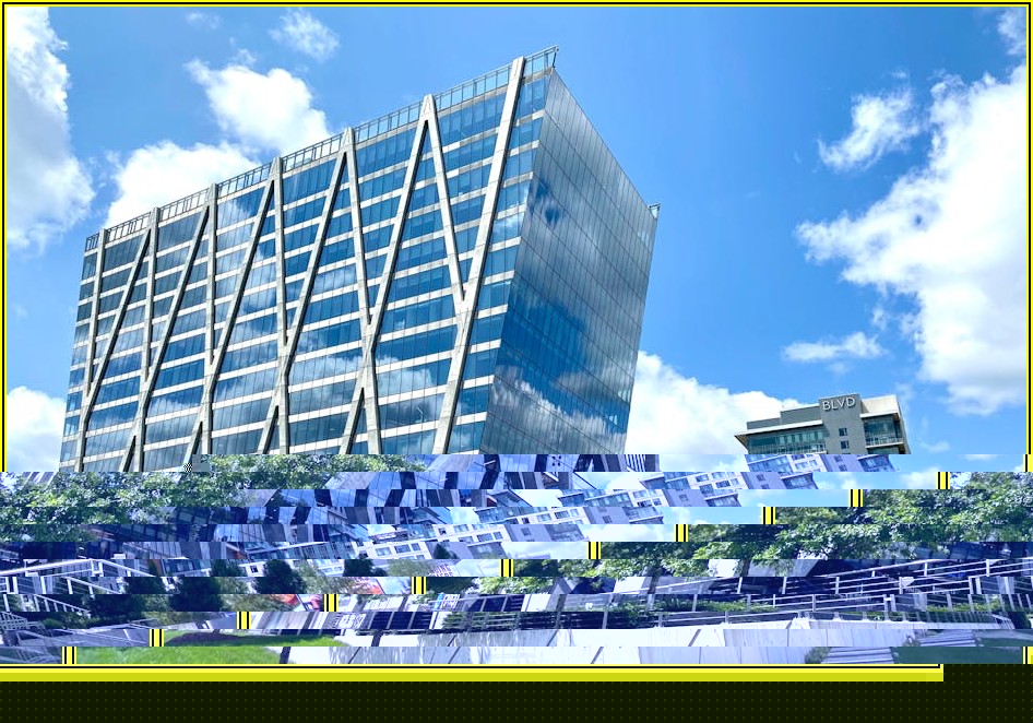 법인세 절세 노하우: 신고 시 꼭 알아야 할 사항