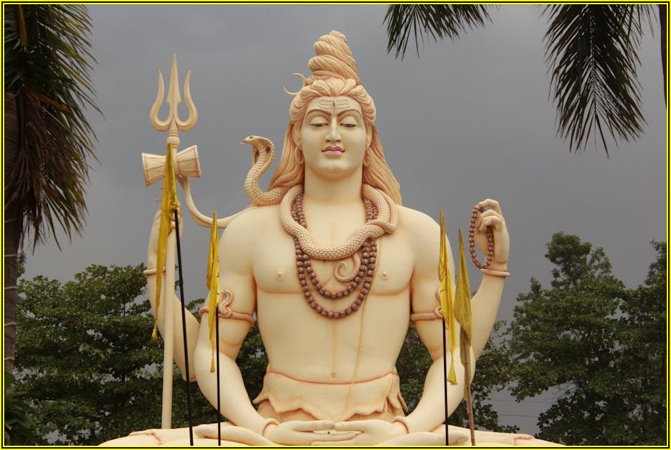 최고의 아이돌이 되는 길, 학원 선택 전략