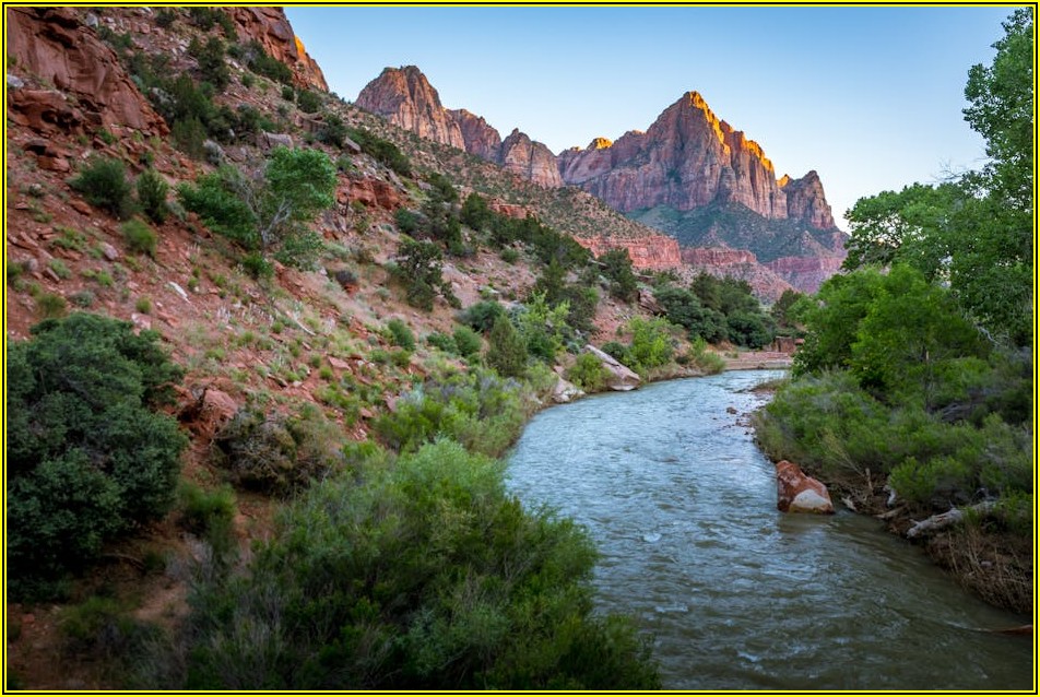 시온 입찰 성공 지름길: 정보 획득부터 분석까지 완벽 가이드