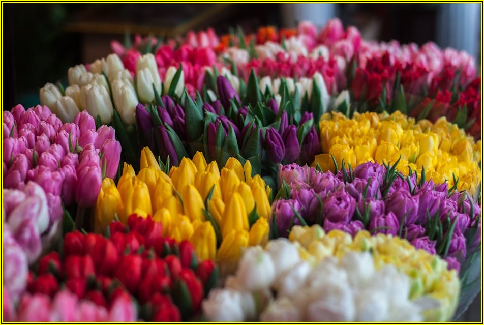 부부 증여 A to Z: 세금 절약 비법 공개