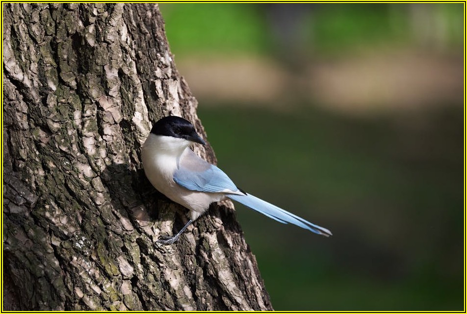 서울숲 스냅 촬영, 예약과 준비물 체크리스트