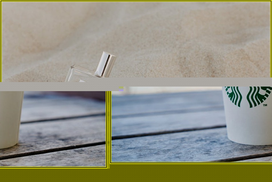 반려동물 건강, 사료통 선택이 중요해요