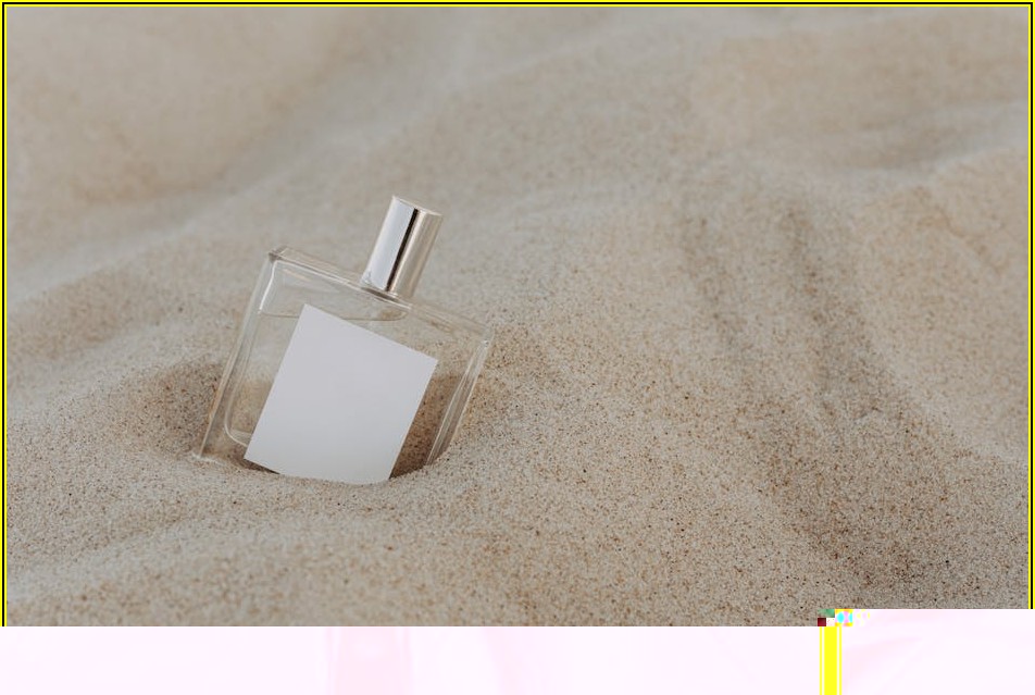 똑똑한 사료통 선택으로 반려동물 건강 챙기기