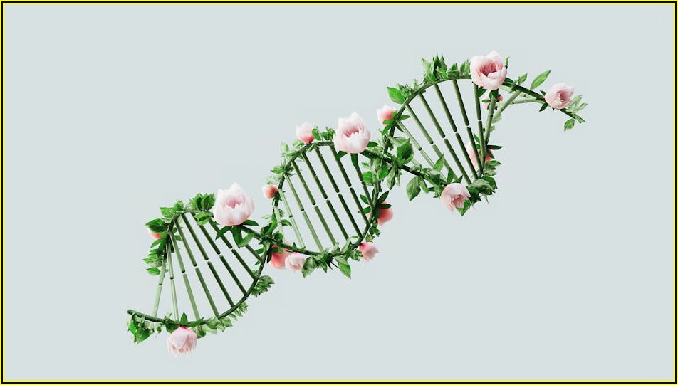 초보자 주목! AI 쇼츠 제작, 이렇게 시작하세요