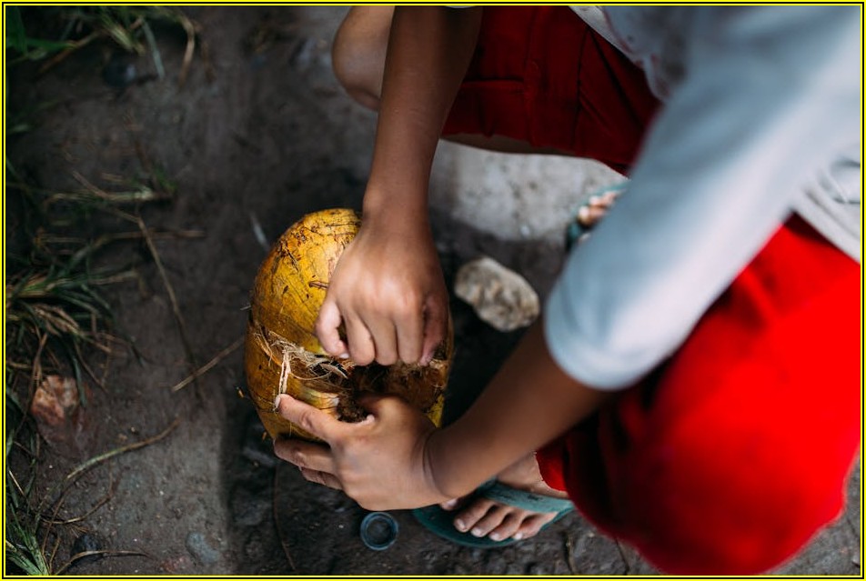KOKOS 커뮤니티, 학습 정보 공유의 새로운 기준