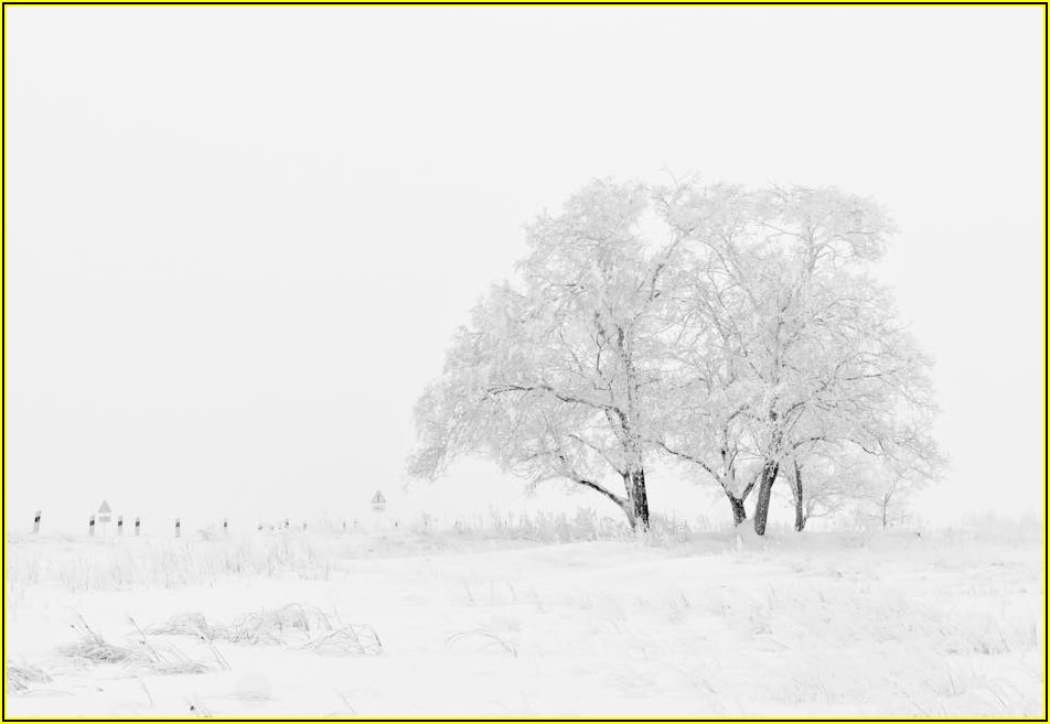 여름 그림 추천: 시원함 가득 테마별 가이드