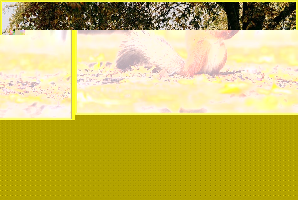 모델 섭외부터 촬영까지, 올림픽공원 스냅 A to Z