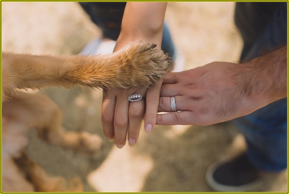 명의신탁 소송 A to Z: 소유권 분쟁 명쾌하게 해결