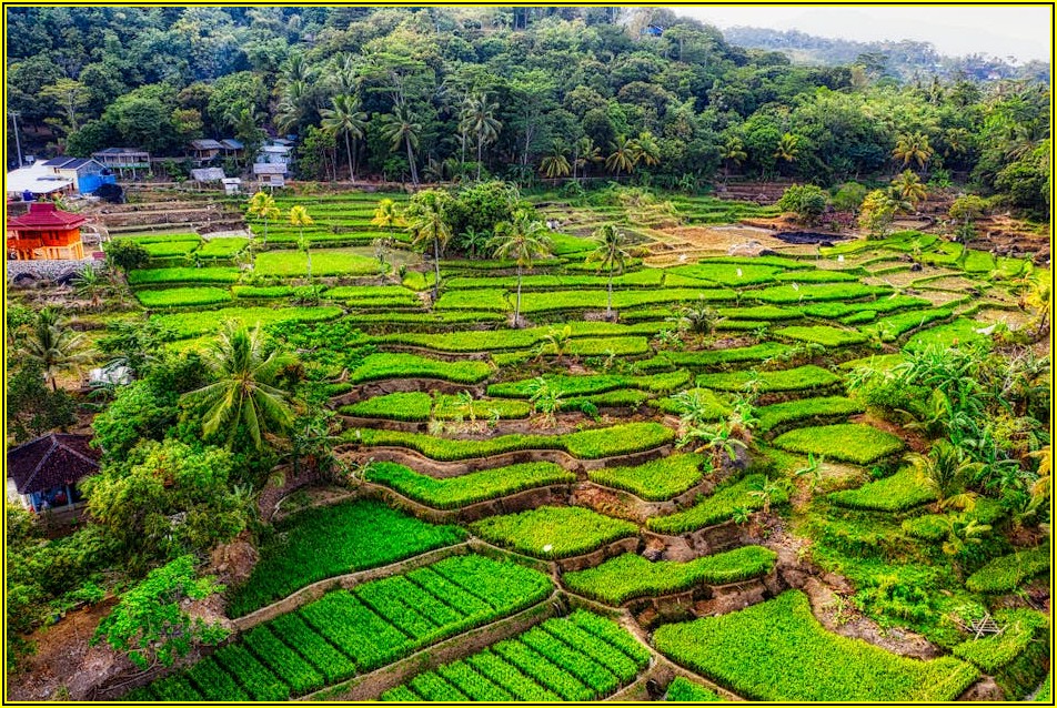 물 부족 시대, 농수로 관리로 안정적인 농업 생산성 확보