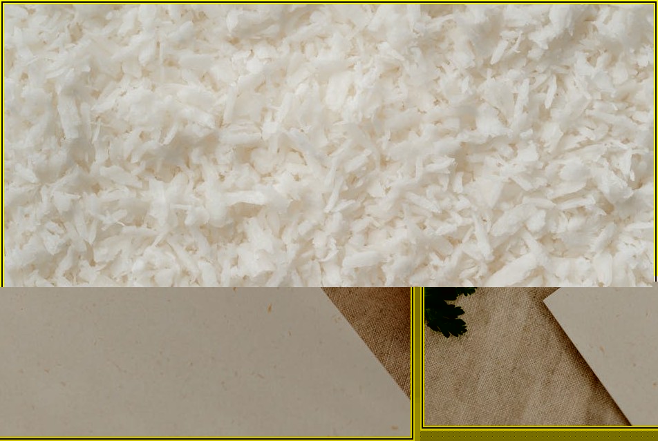 건강한 조리를 위한 식용 구리스 선택 가이드