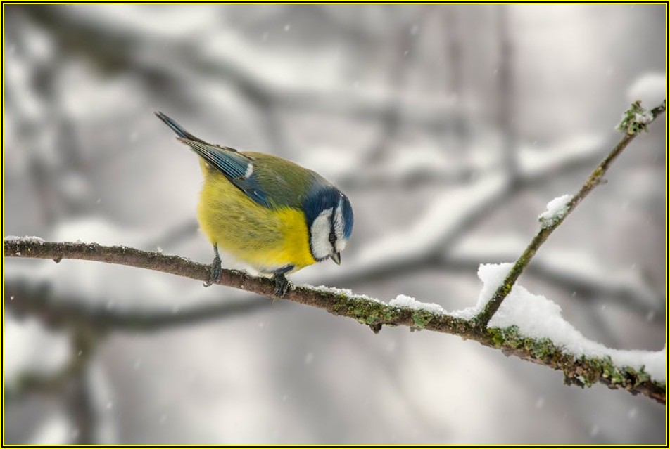 집중력 쑥쑥! 뇌 과학 기반 학습 전략 완벽 가이드