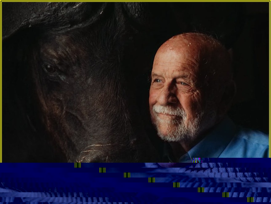 50대 재취업 성공 전략: 자신감과 동기 부여의 비밀