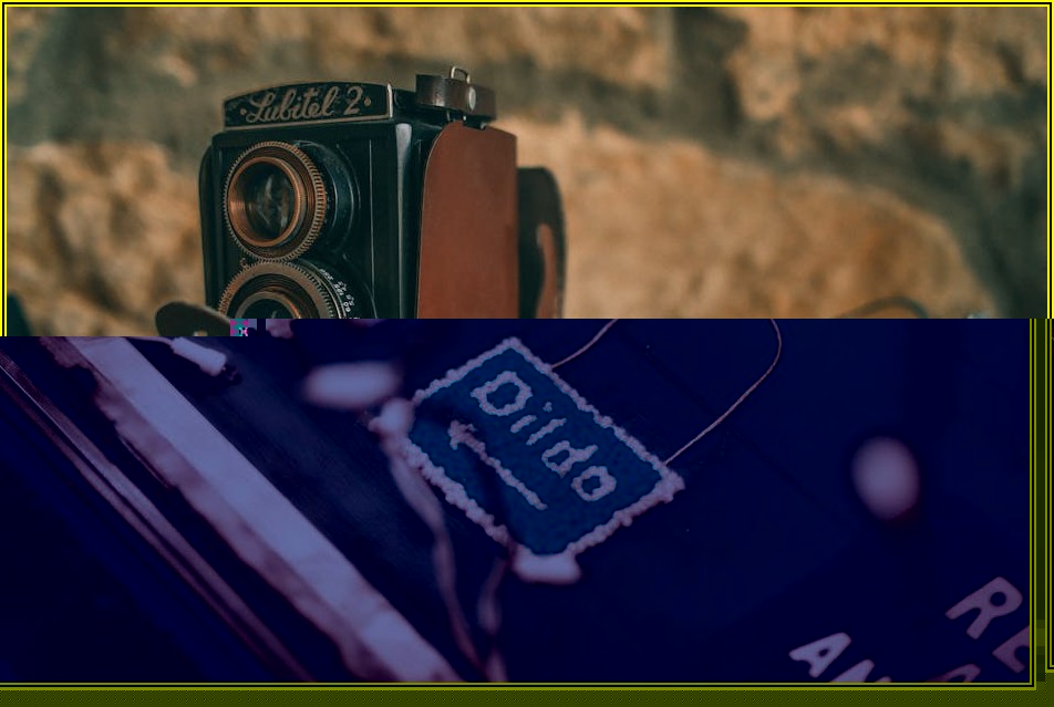 레고 콜렉션, 빛나는 장식장으로 인테리어 완성하기