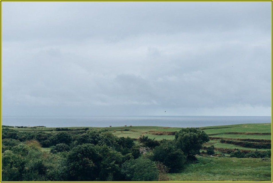 무료 PPT 폰트 사용법: 저작권 문제 발생 시 대처법