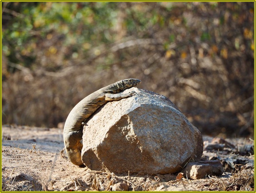 우리 사업장에 맞는 흡수식 냉동기 용량 및 환경 완벽 가이드