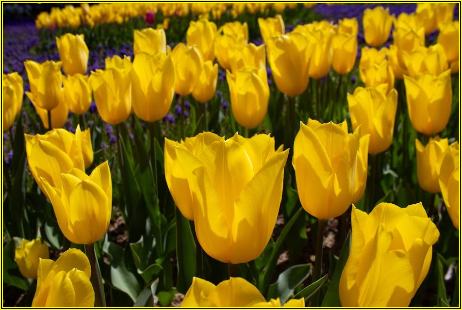 성공적인 흡수식 냉동기 설치, 이것만은 꼭 알아두세요