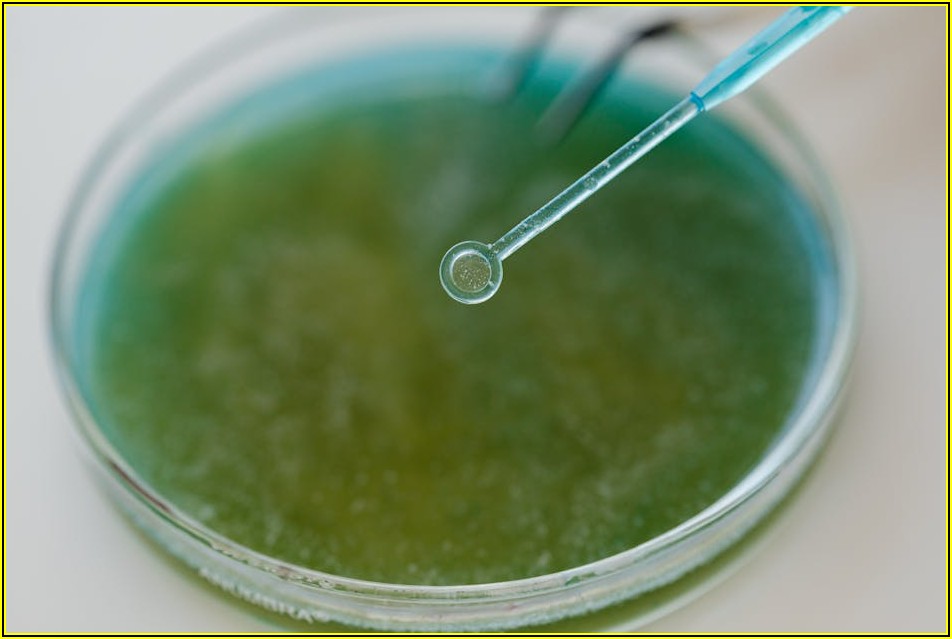 암 유전자 검사, 제대로 알고 꼼꼼히 대비하세요