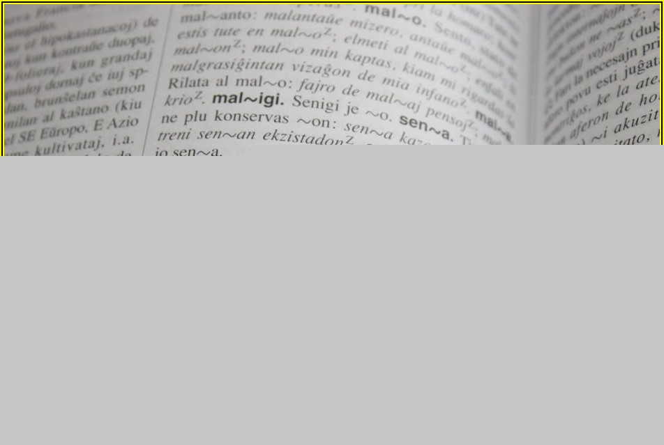 성공적인 어학연수: 어학원 선택 완벽 가이드