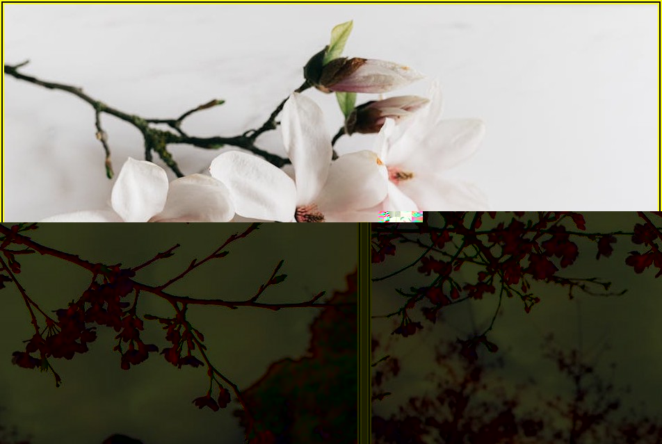 나눔으로 빛나는 평택, 지청의 특별한 봉사 이야기