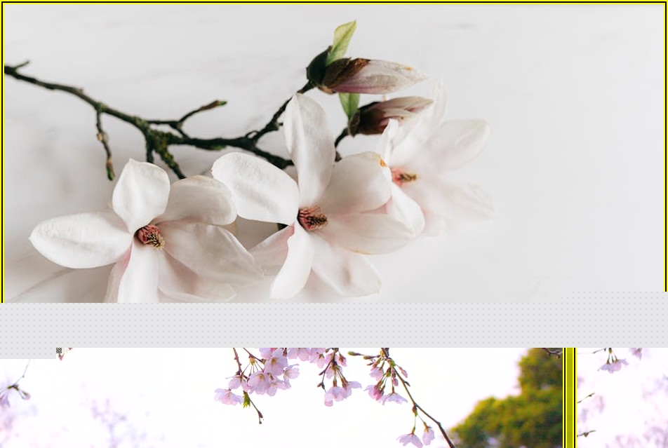 함께하는 평택지청, 따뜻한 나눔으로 지역 사회 공헌