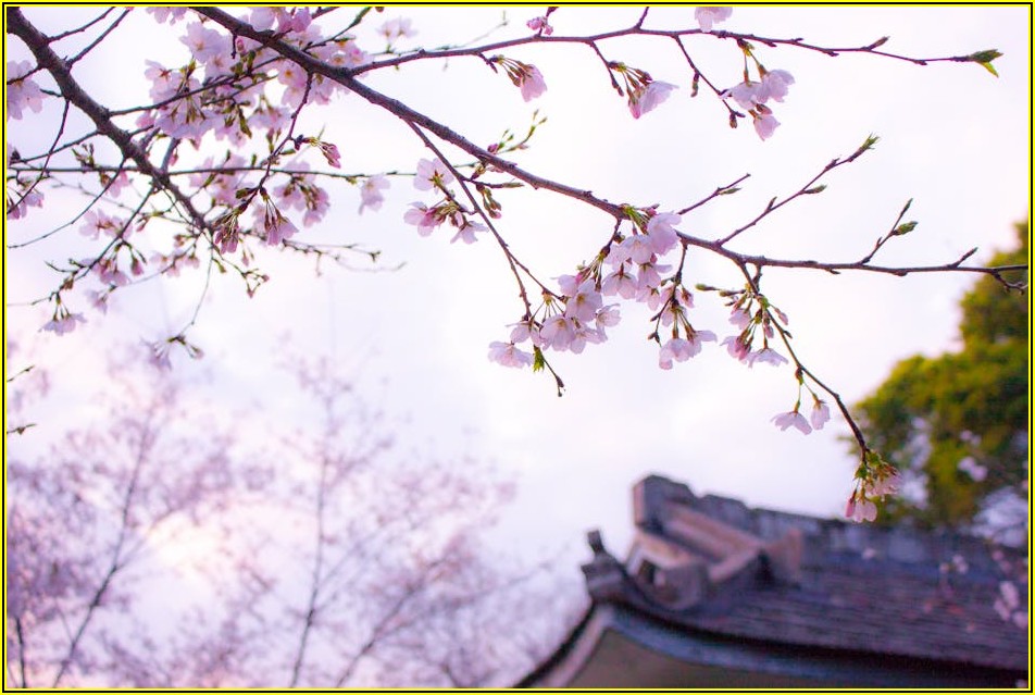 함께하는 평택지청, 따뜻한 나눔으로 지역 사회 공헌