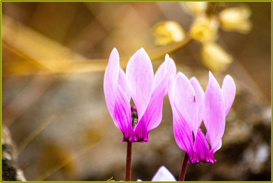 아이소핑크 100T, 단열 성능 극대화 시공 전략