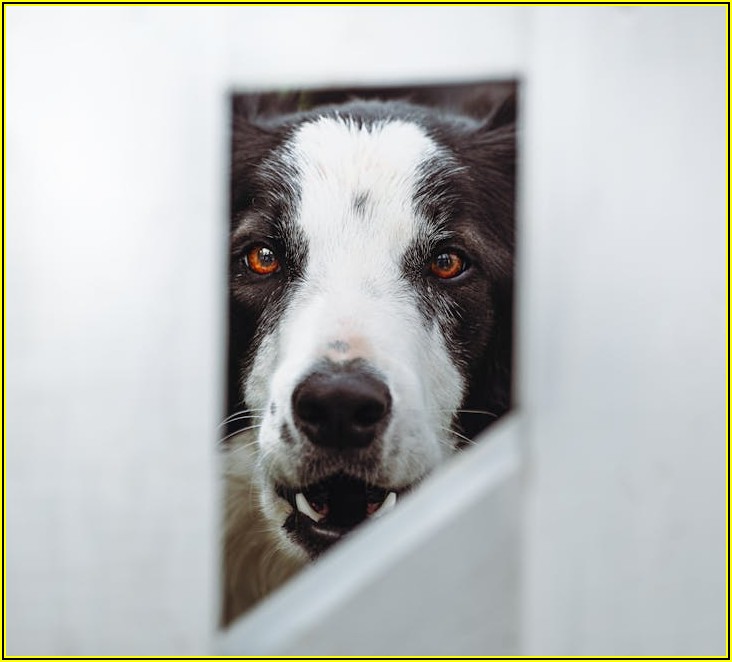 증권사 선택, 후회 없는 결정 위한 핵심 비교 정보