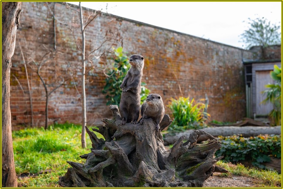 오터리 가죽 아이템, 품격 있는 당신을 위한 선택