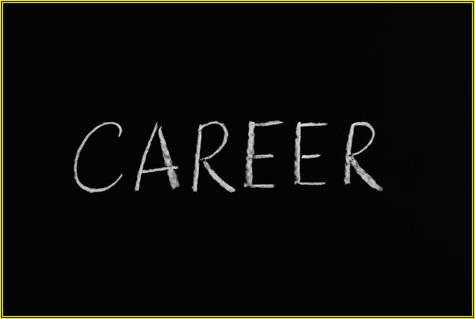 디자인 커리어 설계, 유망 분야별 전망과 성공 전략