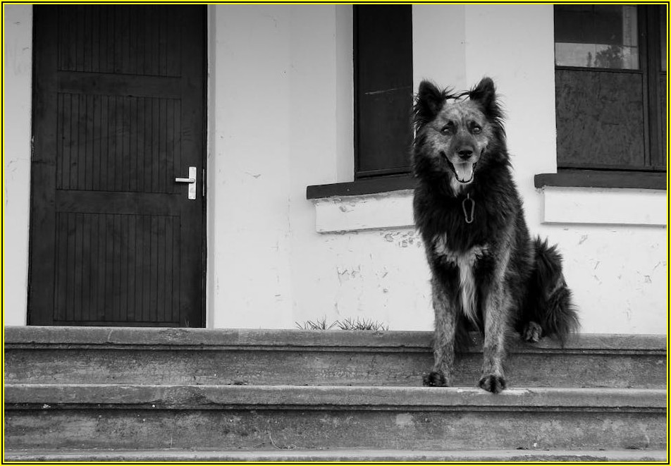 홍대 상권 건물, 성공적인 투자를 위한 가이드