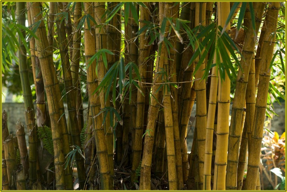 스토킹 고소, 안전하게 대응하는 법과 절차