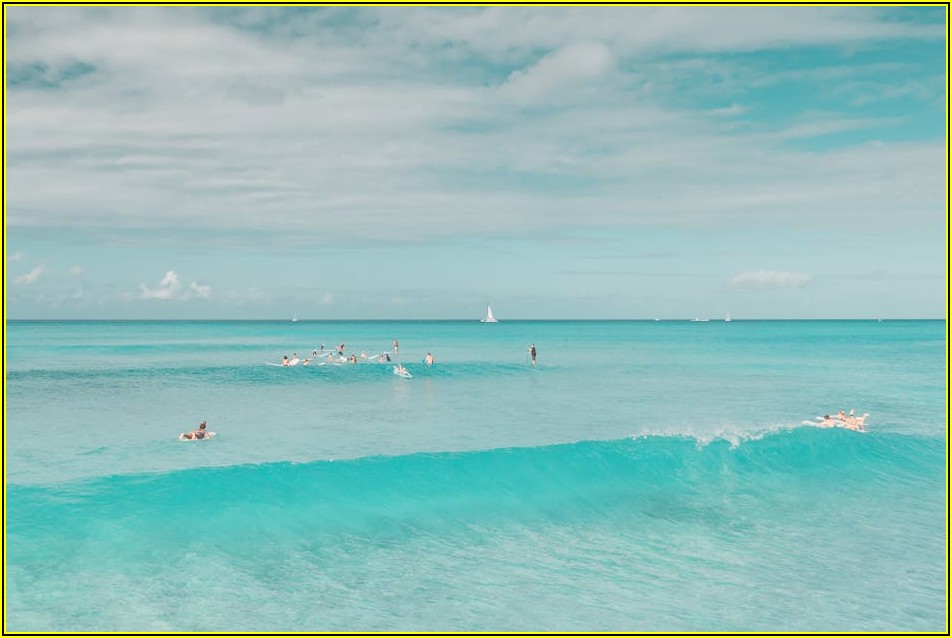 무료 호스팅 속도 저하, 전문가가 알려주는 해결책