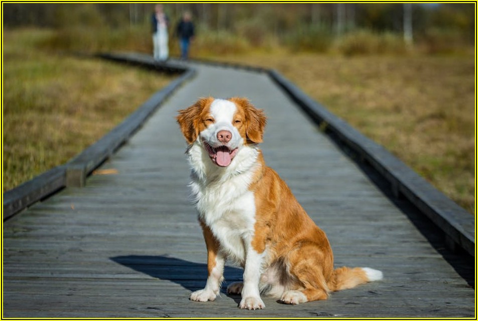 2025년 공휴일, 달력으로 미리 확인하고 완벽 계획 세우기