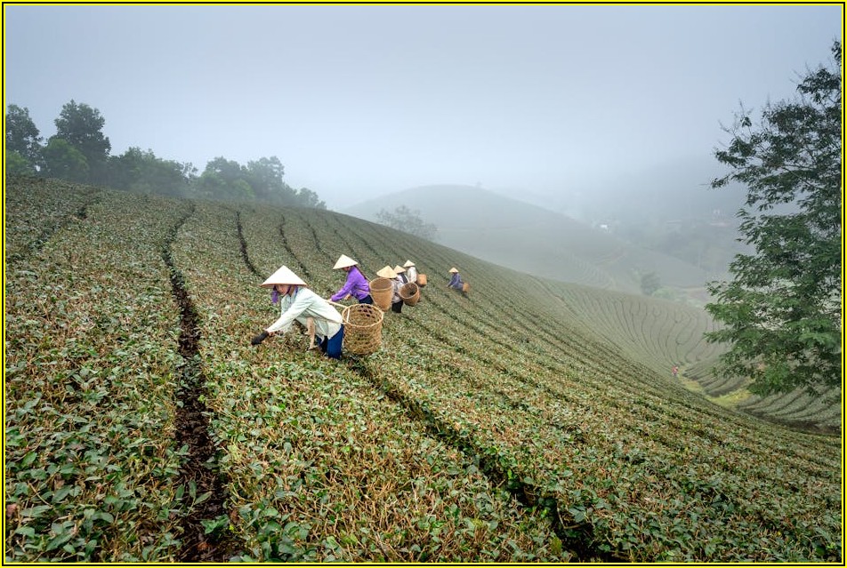 산업재해 보상 궁금증, 제주도 노무사가 해결해 드립니다