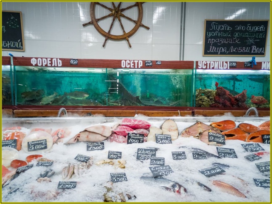 아이스크림 프랜차이즈, 성공 창업을 위한 필수 비교