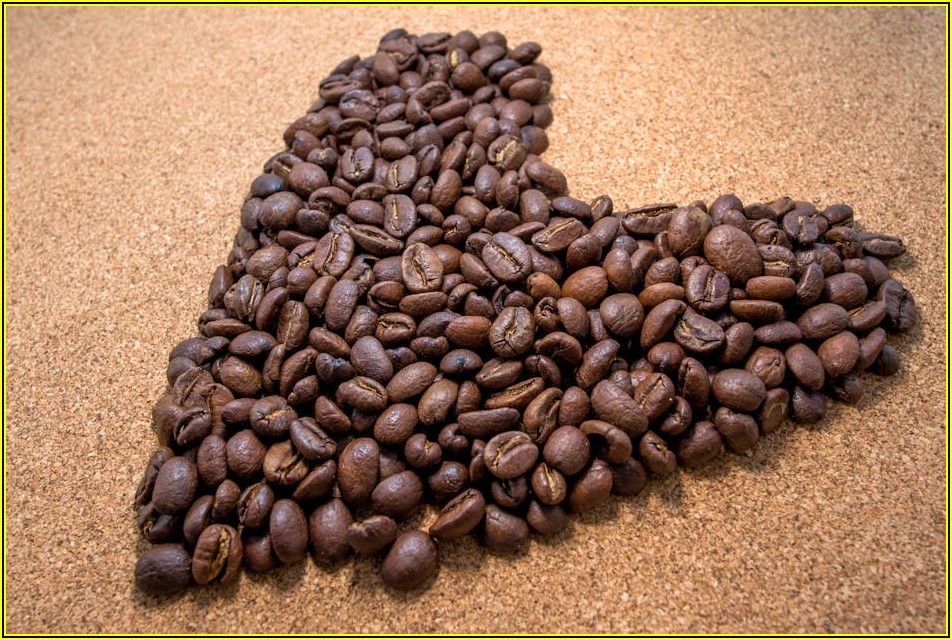 원두커피, 5가지 추출법으로 최고의 풍미 찾기