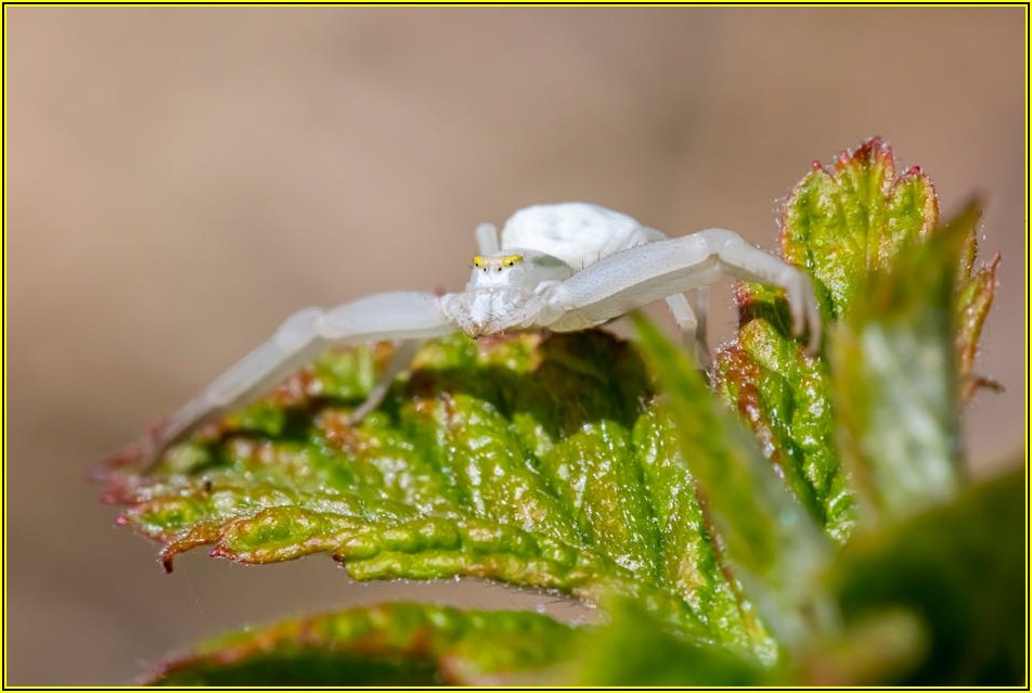 자동 방충망 수명, 관리만 잘해도 달라져요