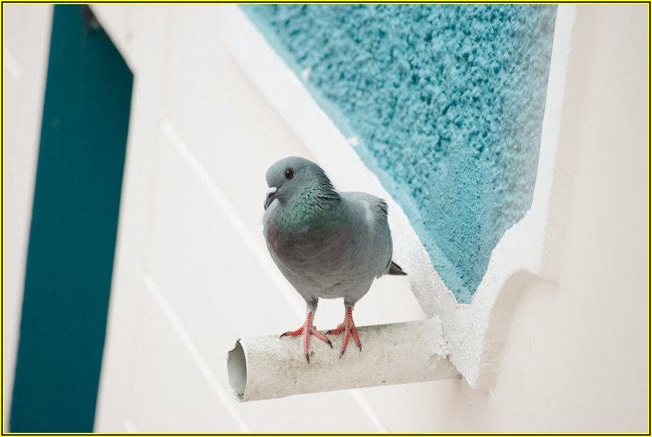 각 파이프 규격 제대로 알고 안전하게 시공하는 법