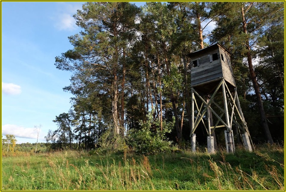운전 초보 필수! 사각지대 미러 제대로 쓰는 법